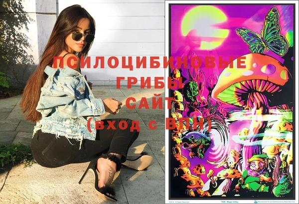 молекула духа Мегион