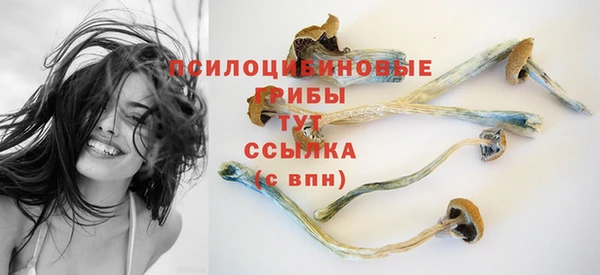 ALPHA PVP Михайловск