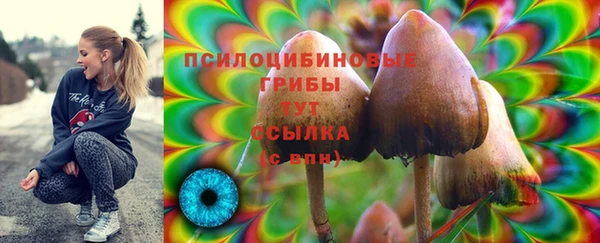 дживик Медвежьегорск