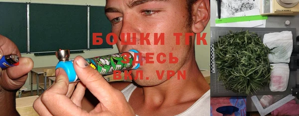 молекула духа Мегион
